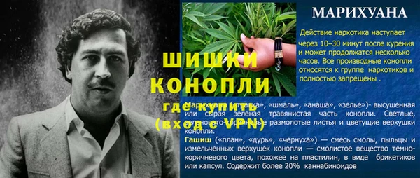 гашик Аркадак
