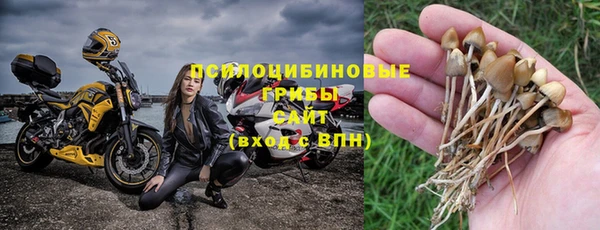 молекула духа Алексин