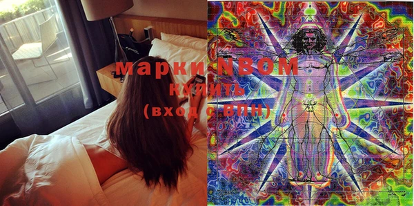 гашик Аркадак